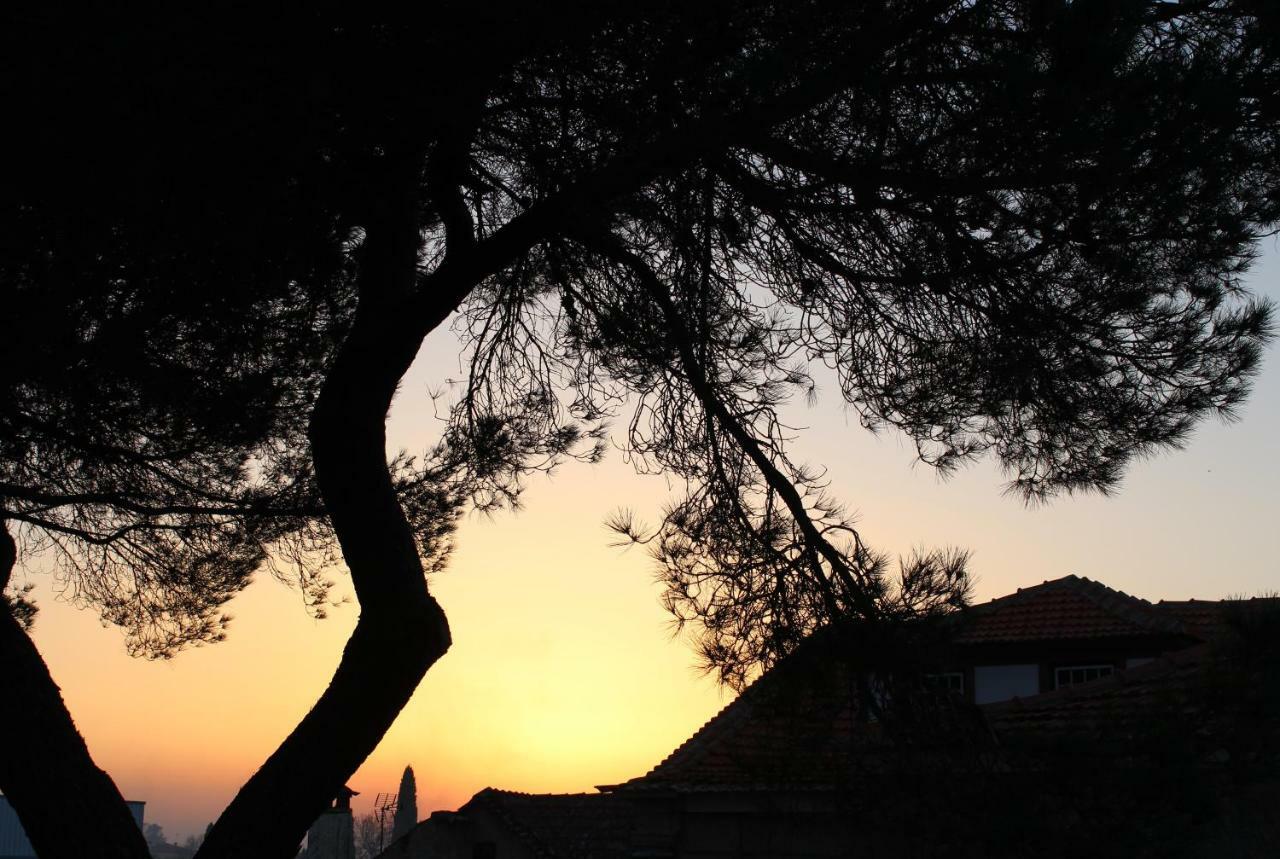 Hostel Casa Do Pinheiro Lagares da Beira Εξωτερικό φωτογραφία